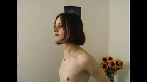 Film porno allemand - Sodomies et pipes expertes